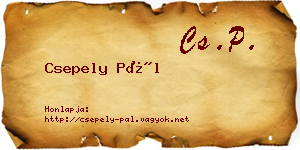 Csepely Pál névjegykártya